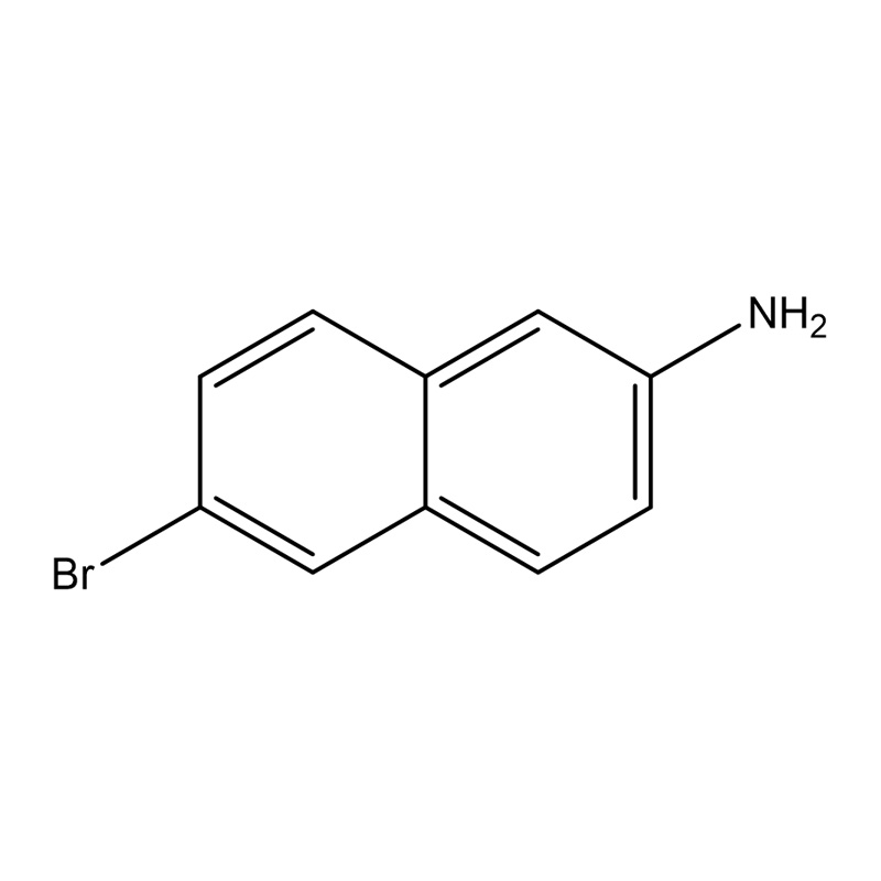6-Bromonaphthalen-2-amin