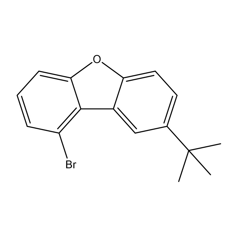 1-brom-8-(tert-butyl)dibenzo[b.d]furan