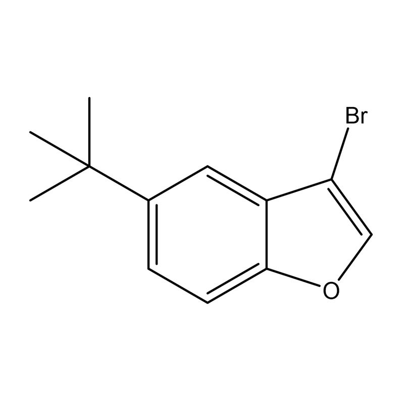 3-brom-5-tert-butylbenzofuran